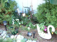 What's wrong with this picture?