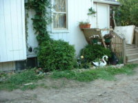 Large view of small garden